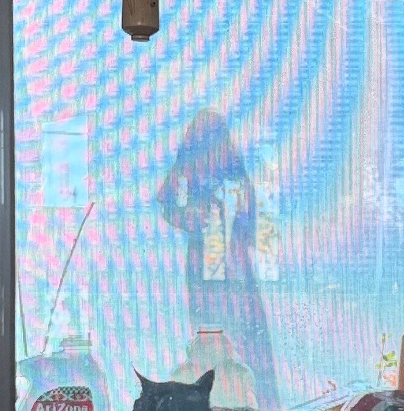 Tempie Lyons tweet media