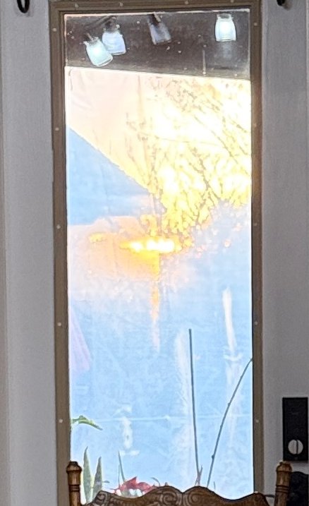 Tempie Lyons tweet media