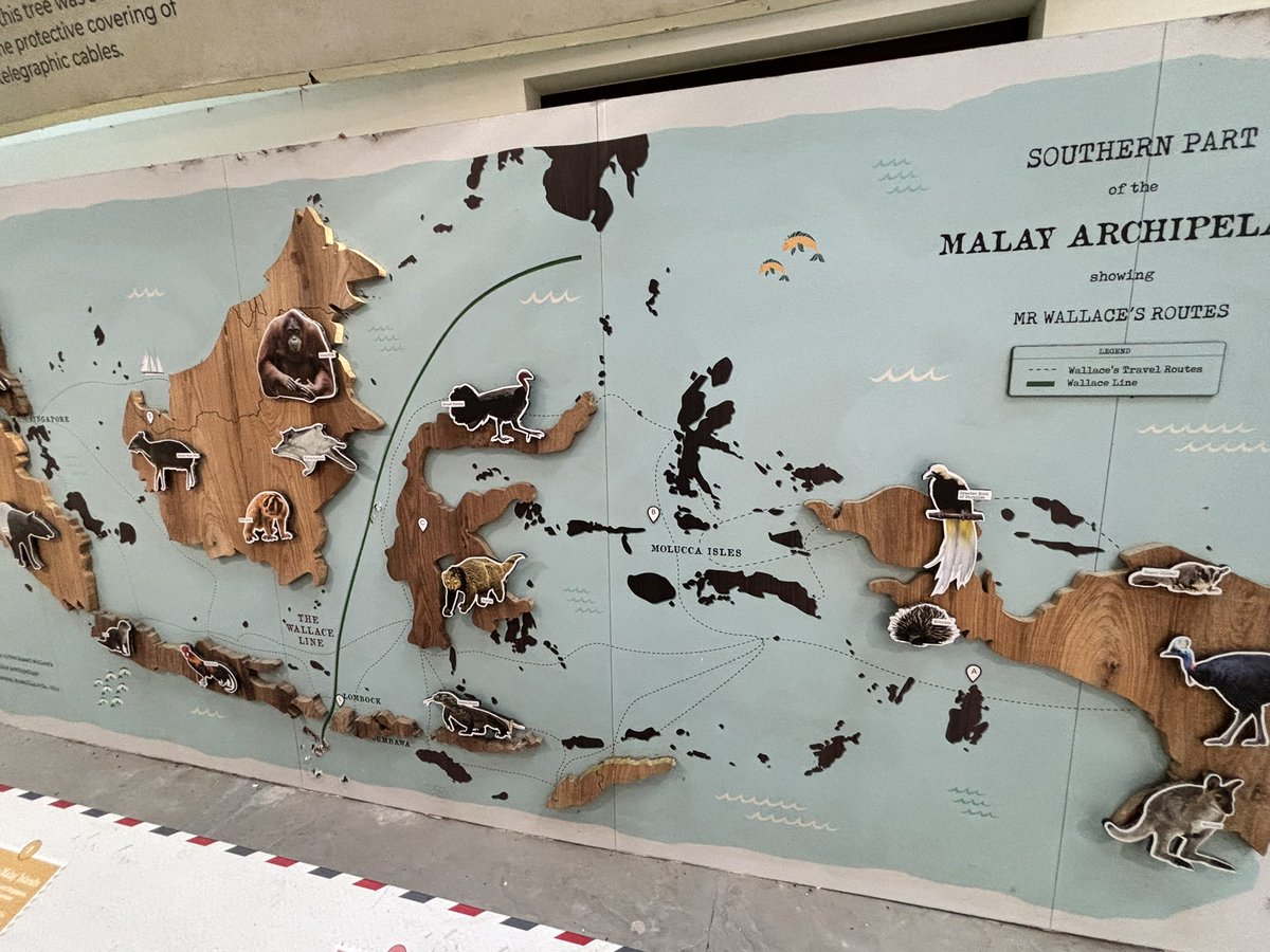 Dr Timothy Utteridge tweet media