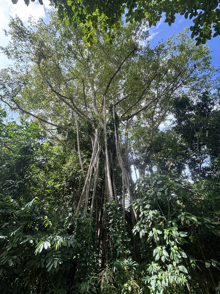 Dr Timothy Utteridge tweet media