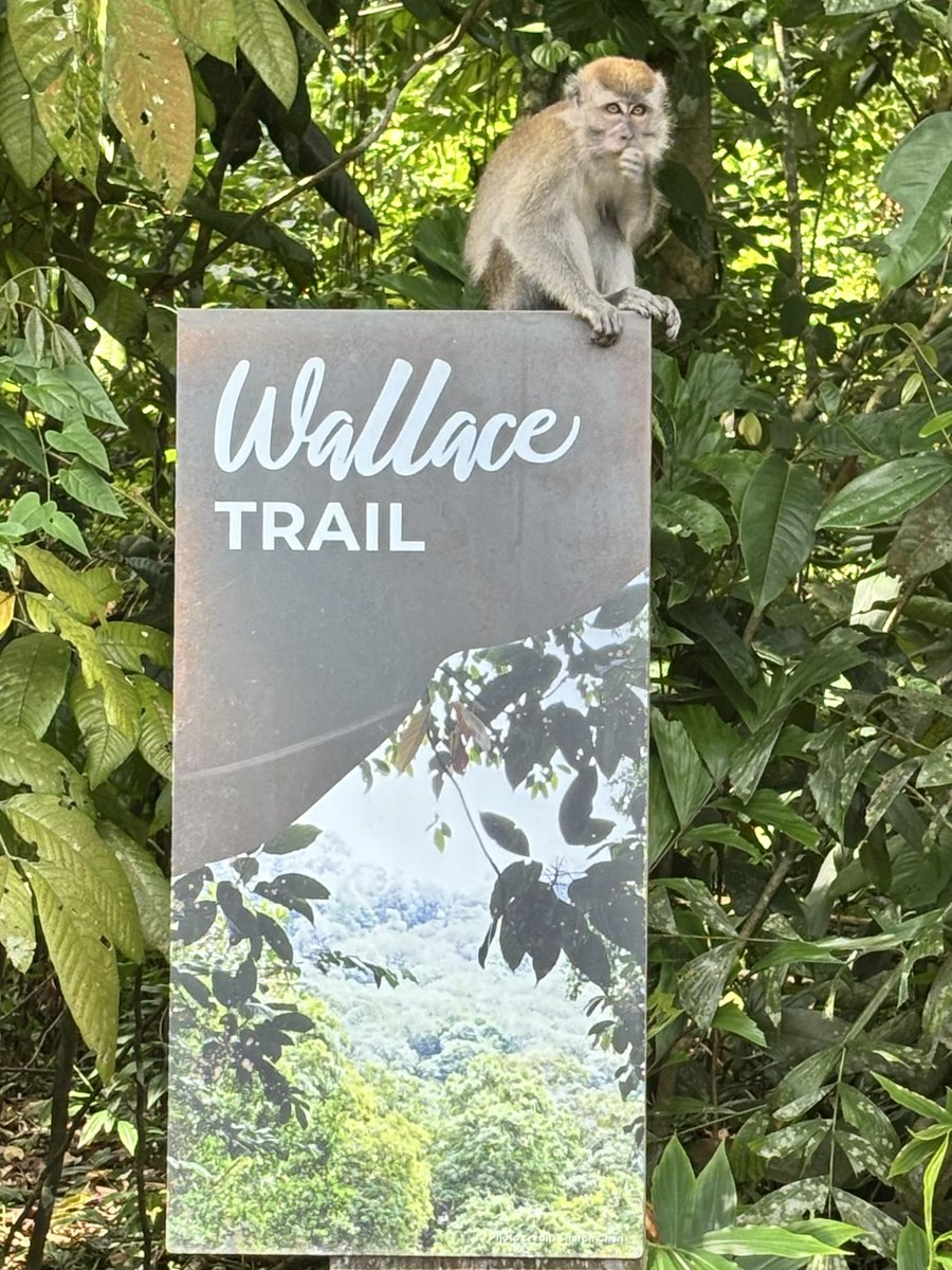 Dr Timothy Utteridge tweet media