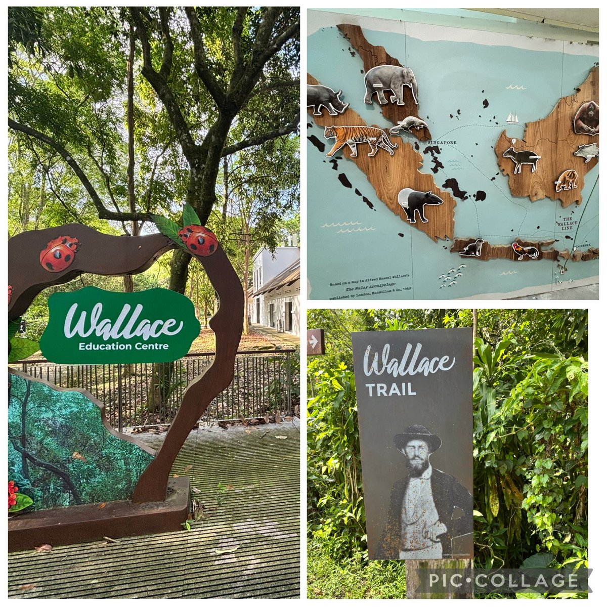 Dr Timothy Utteridge tweet media