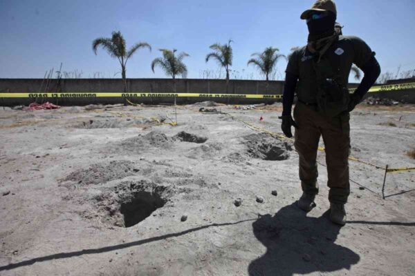 Animal Político tweet media