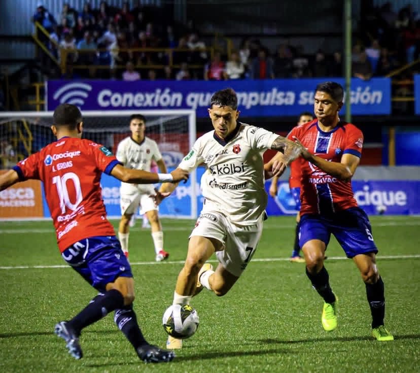 Tomás Fonseca tweet media