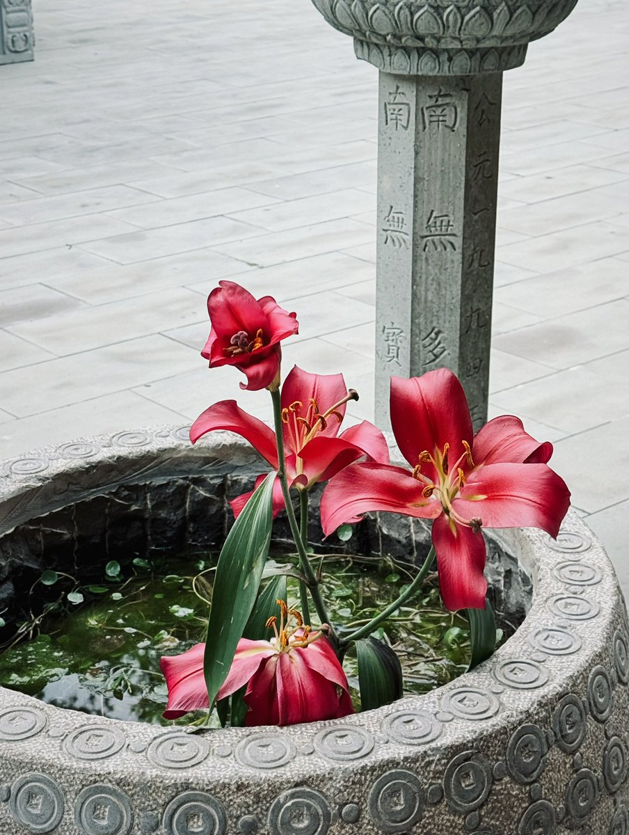 是大饼饼饼饼饼呀🧡 tweet media