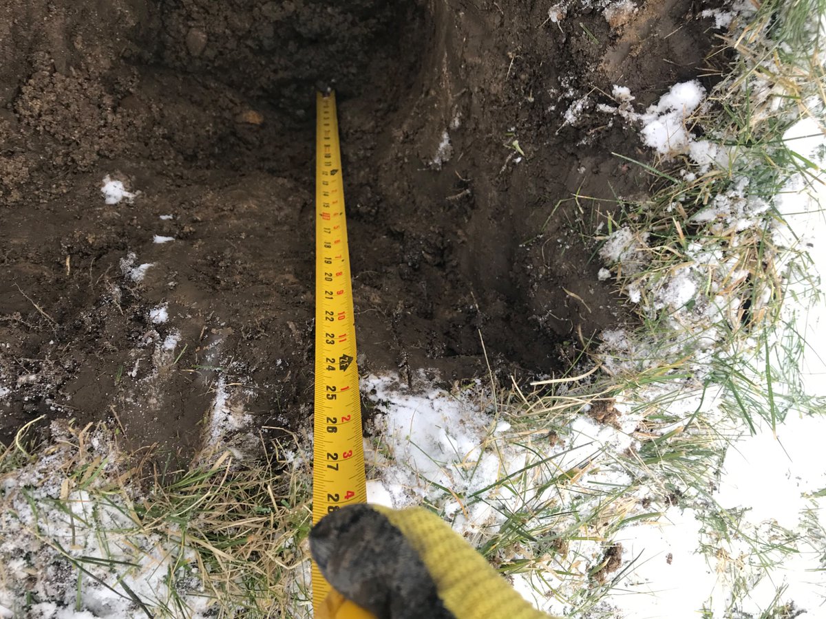 Ontario Septic tweet media