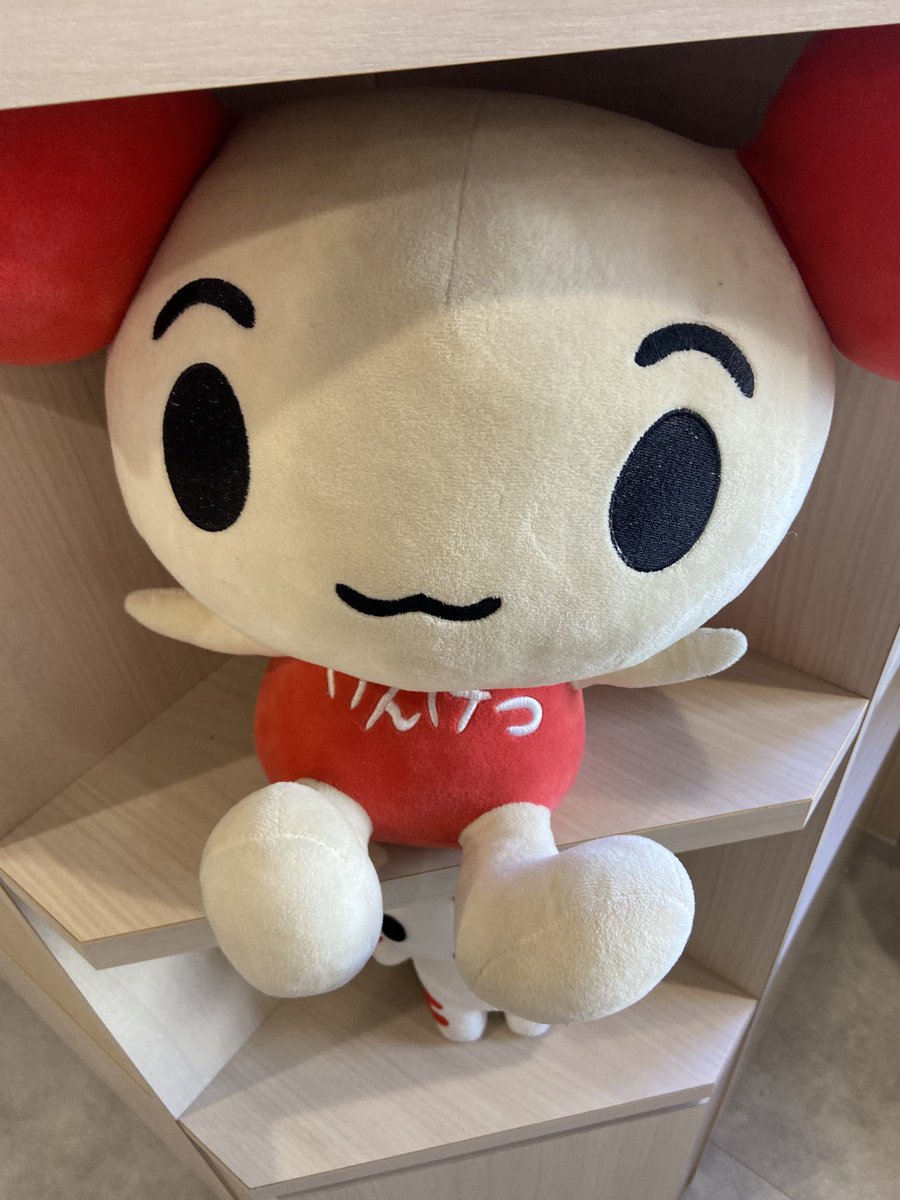 岐阜暴威 tweet media