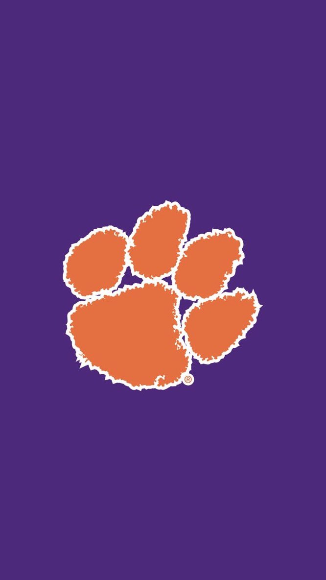 Sean Fox 4⭐️ tweet media