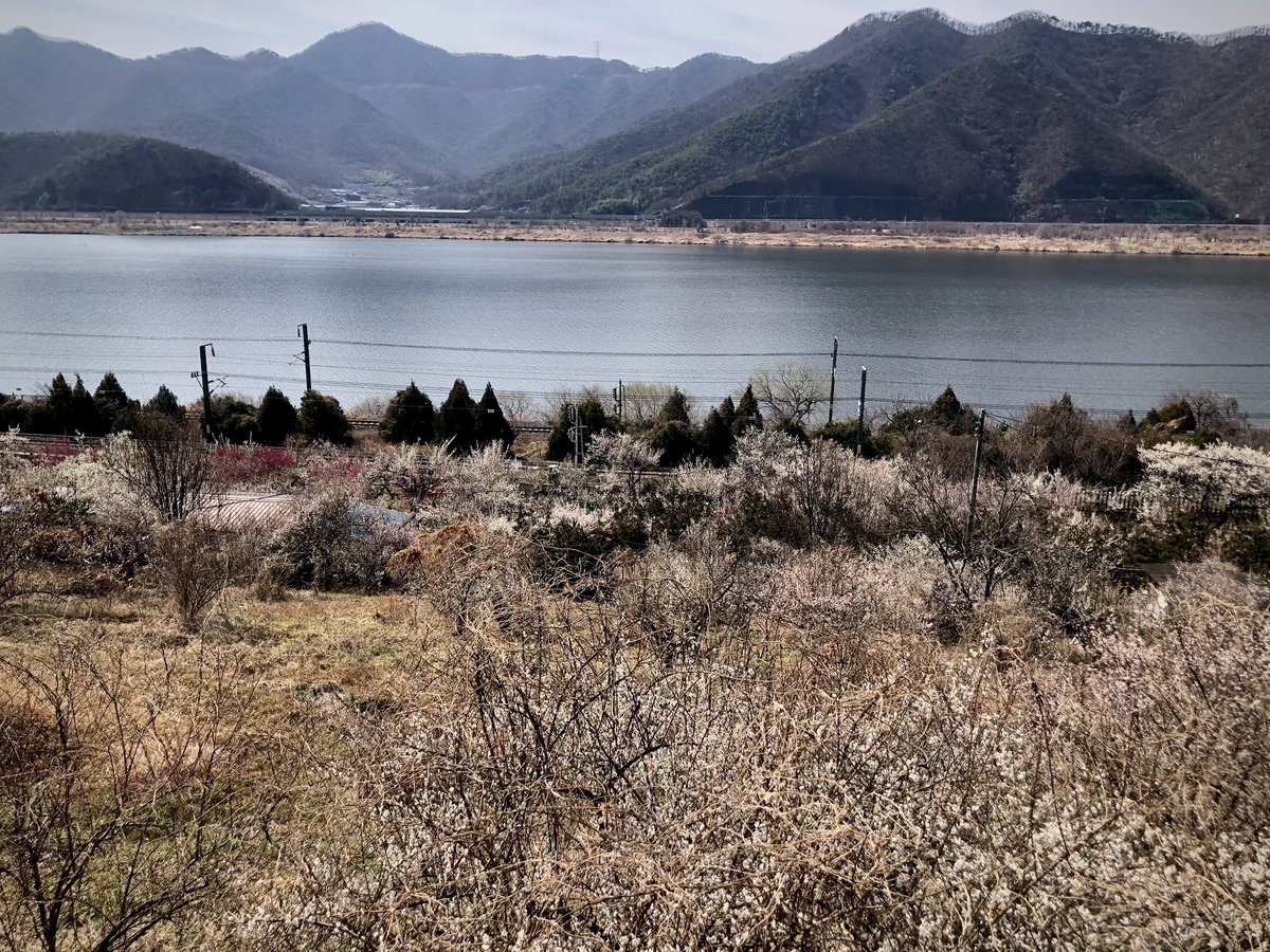 🦋오승용🍎 ⛅️ tweet media