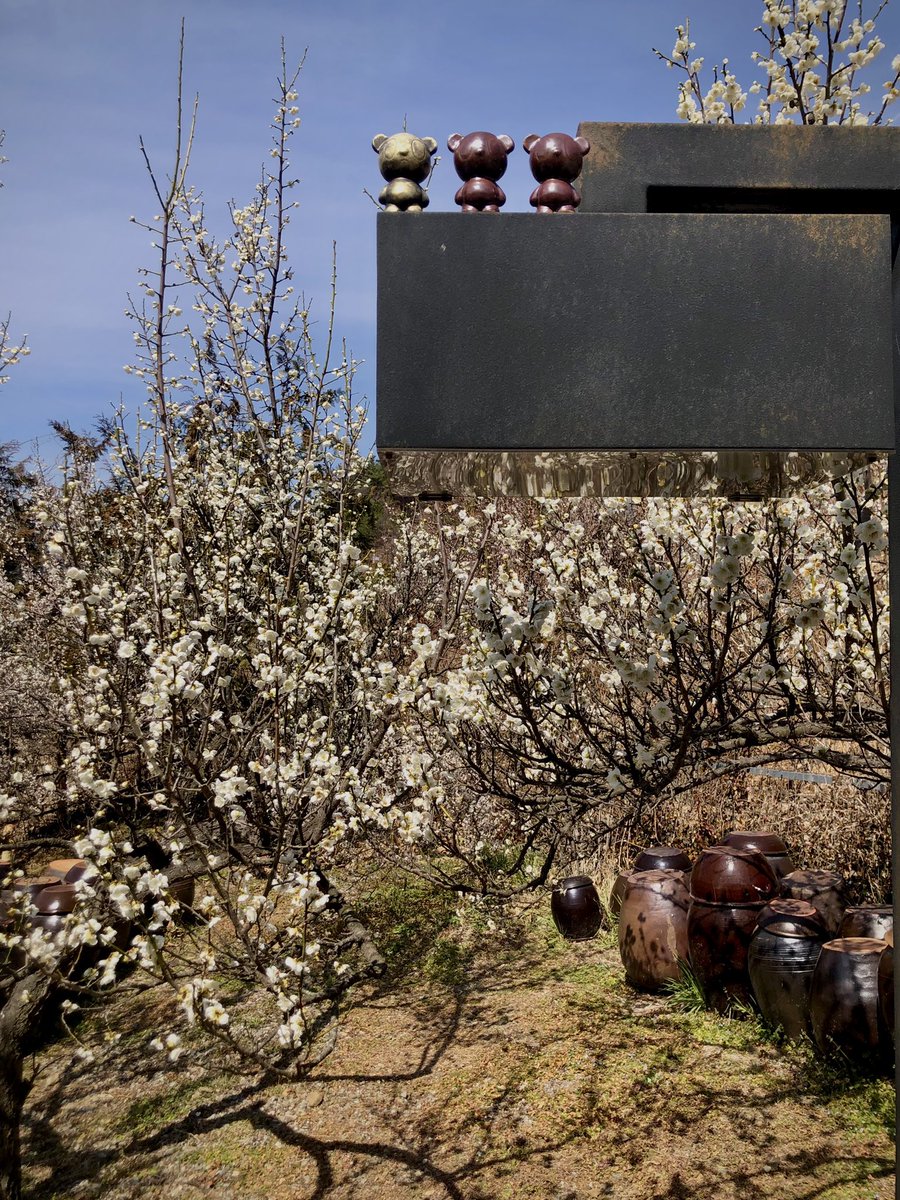 🦋오승용🍎 ⛅️ tweet media