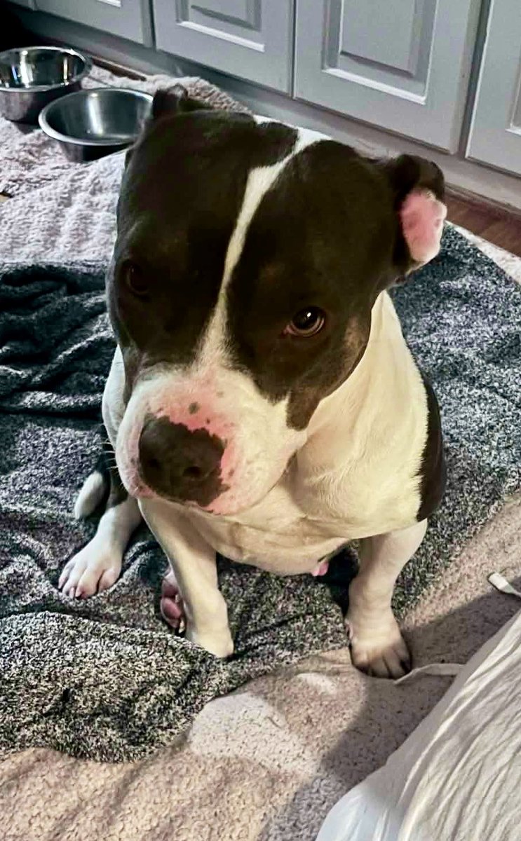 Donna Lac tweet media