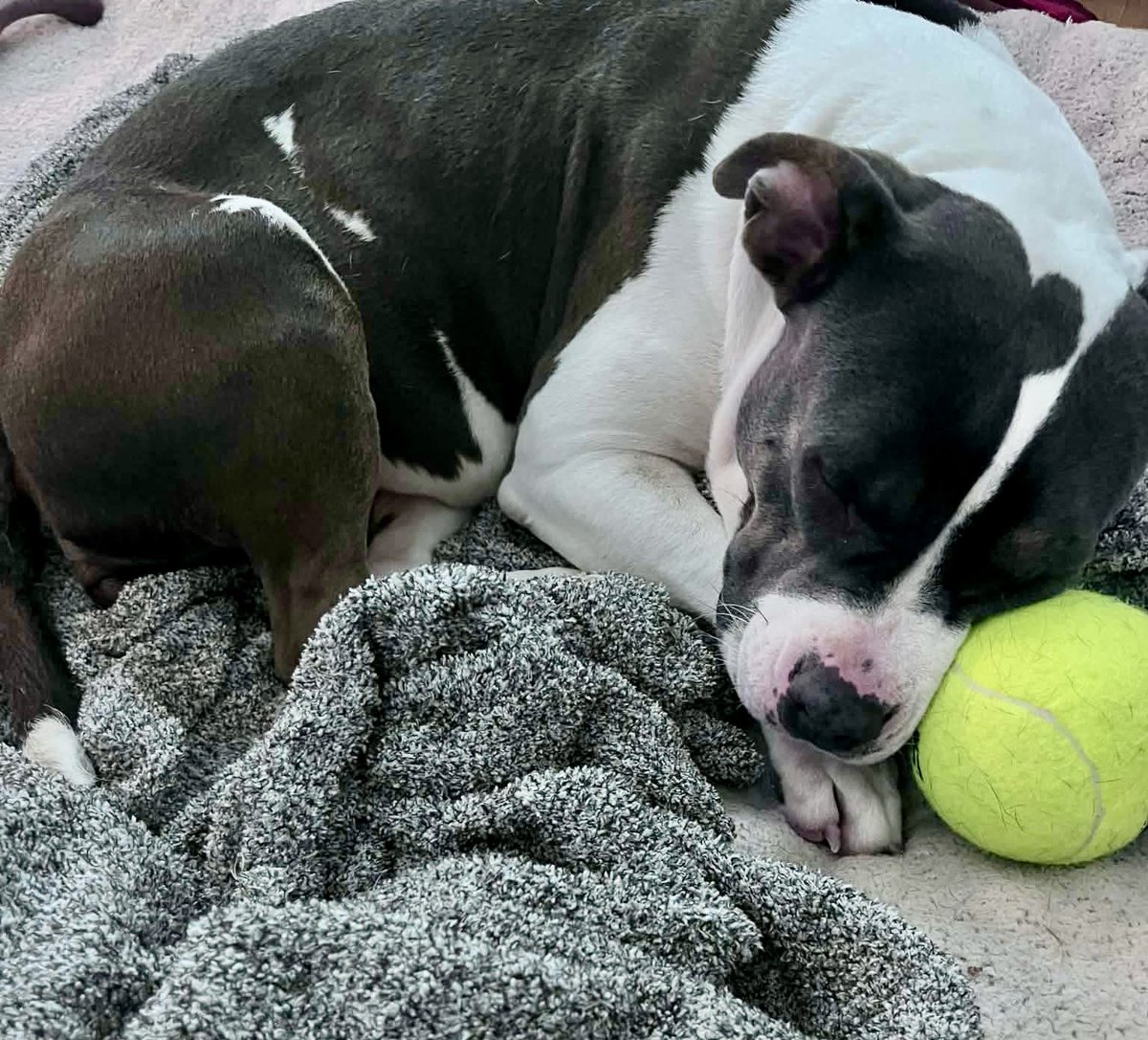 Donna Lac tweet media