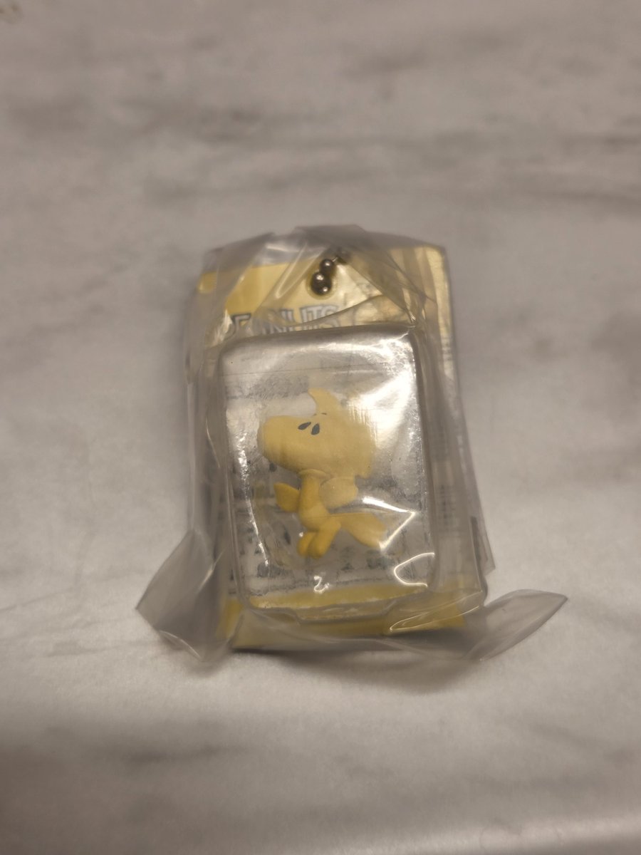 あいり830 tweet media