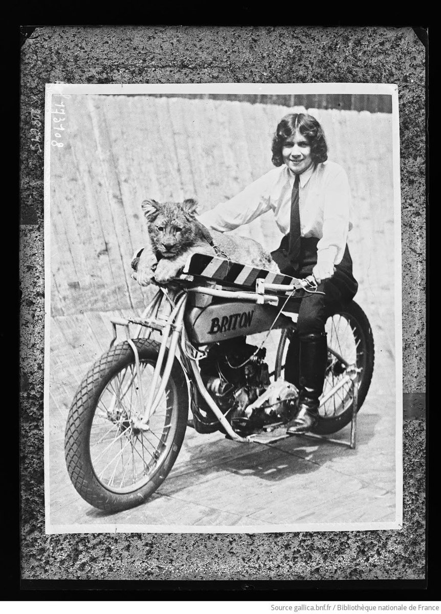 Doodle Dad tweet media