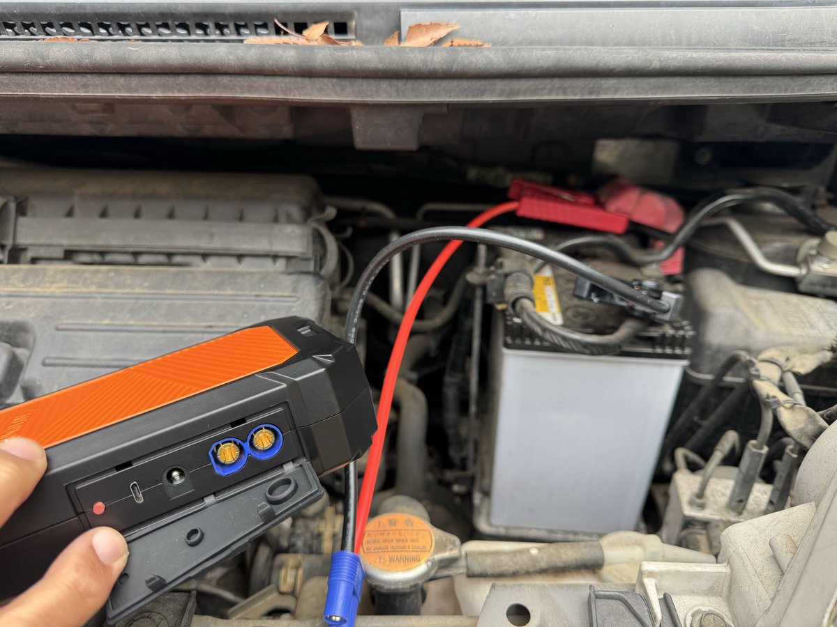 SHADOW'sえんちゃん tweet media