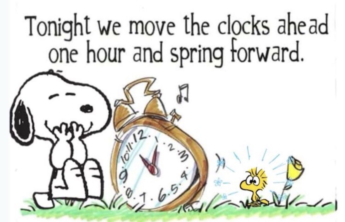 Michelle tweet media