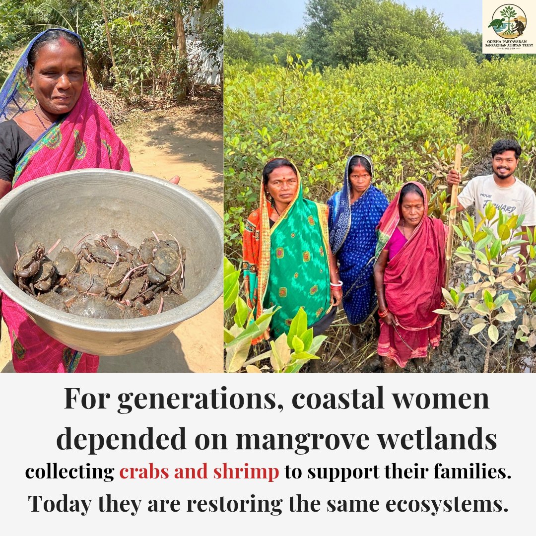 Odisha Paryavaran Sanrakshan Abhiyan Trust tweet media