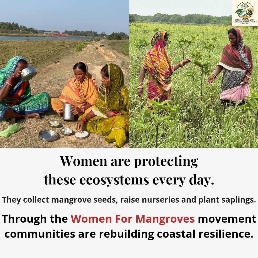 Odisha Paryavaran Sanrakshan Abhiyan Trust tweet media