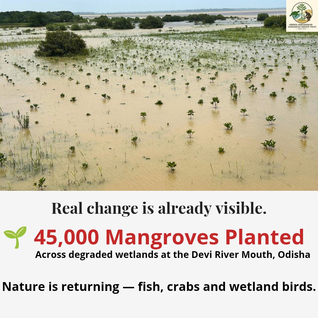 Odisha Paryavaran Sanrakshan Abhiyan Trust tweet media