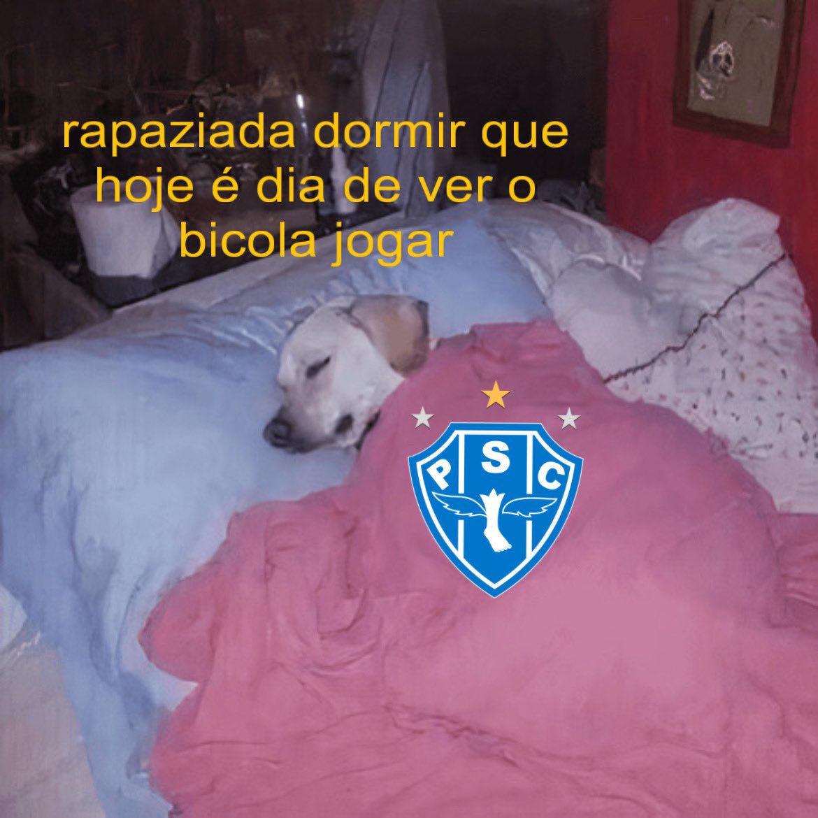 Paysandu's tweet photo. Rapaziada, vou dá-lhe num sono aqui, mais tarde eu volto ✌🏻🐺💙 https://t.co/LNO8YZzBA8