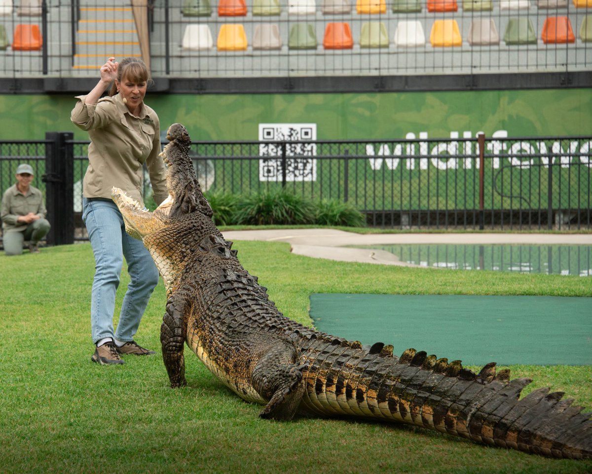 Australia Zoo tweet media