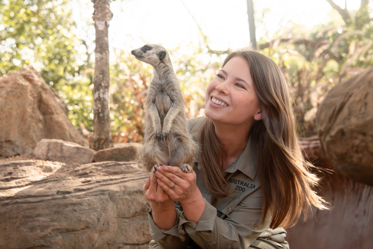Australia Zoo tweet media