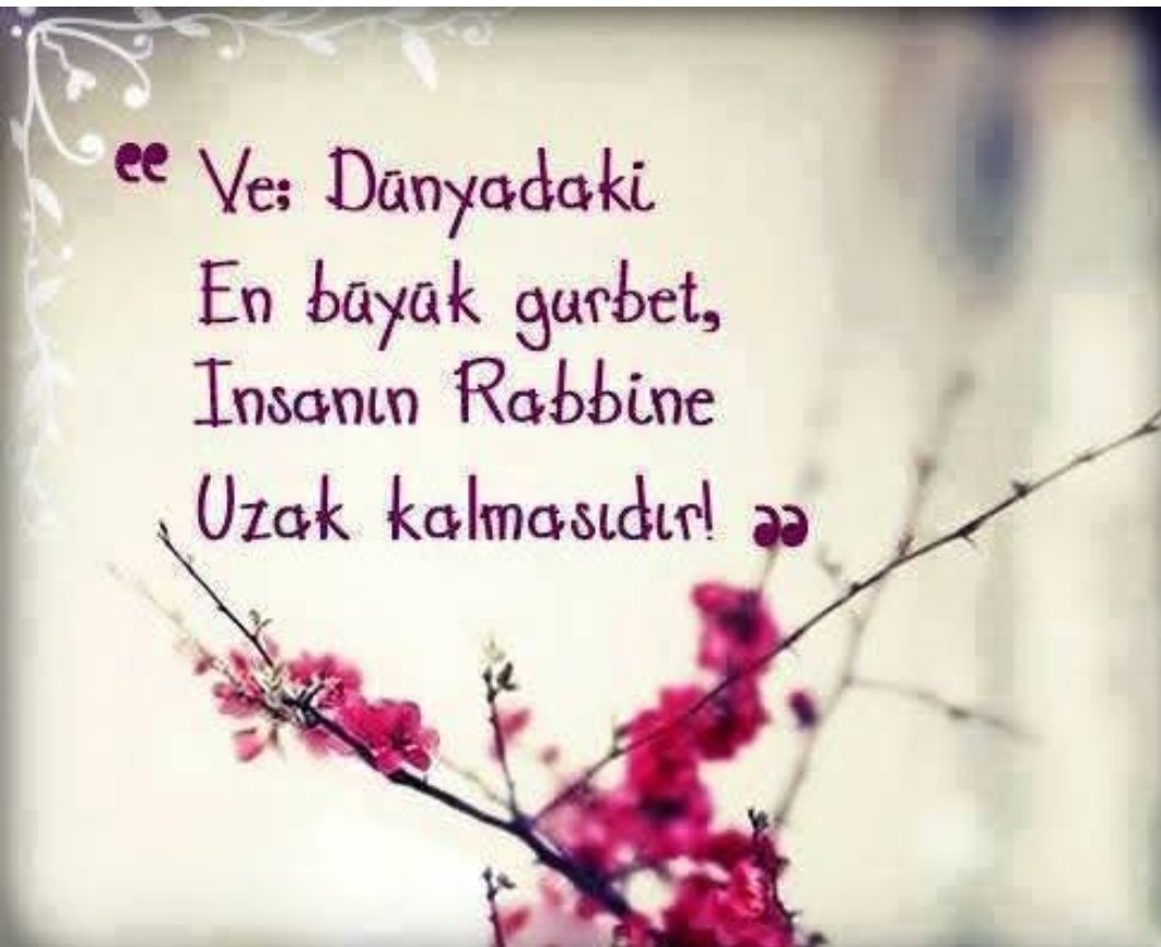 MUSTAFA UYSAL (@muysal56) on Twitter photo 