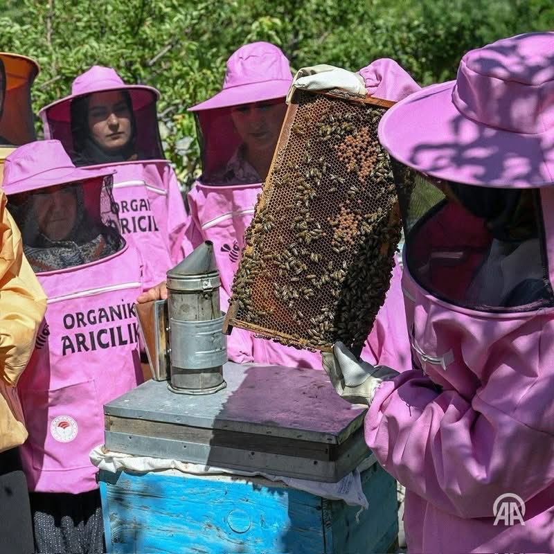 FIRAT ÇENBERLİTAŞ tweet media