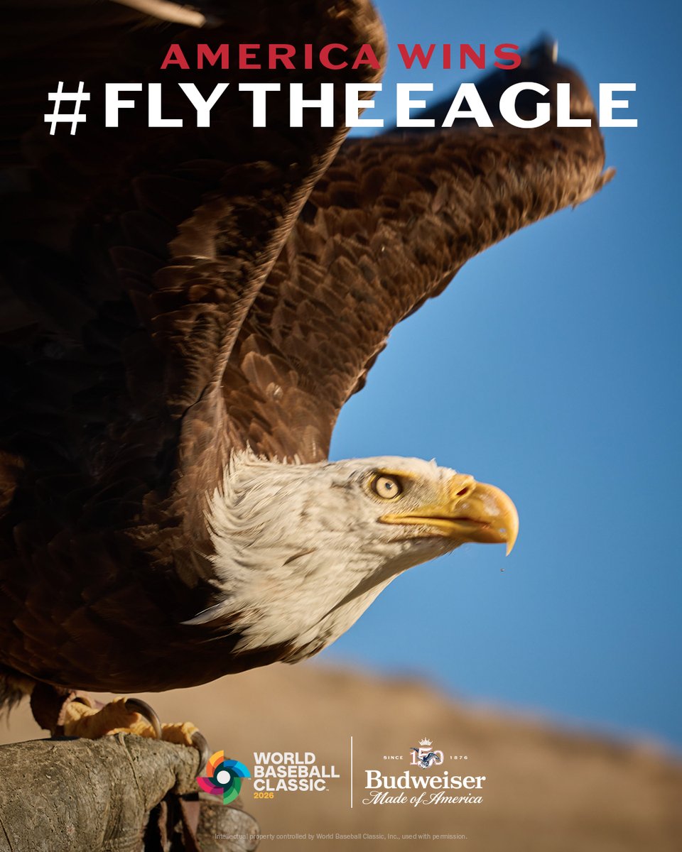 budweiserusa's tweet photo. AMERICA WINS AGAIN. #FlyTheEagle @WBCBaseball  ​
​
QRT to keep this bird flying. https://t.co/BuCIVvY2Dq