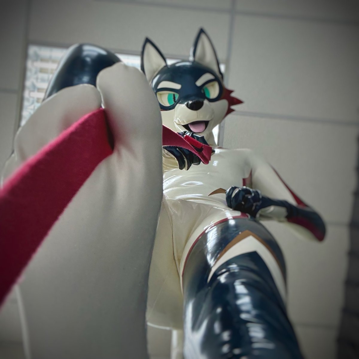 Tea／茶茶 tweet media