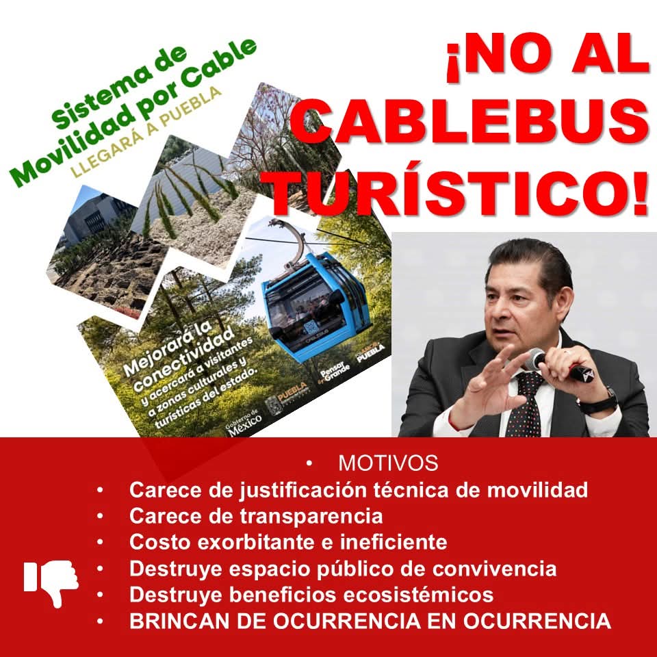 arboles_puebla's tweet photo. @OroNoticiasPue https://t.co/TZkLPjoIT9