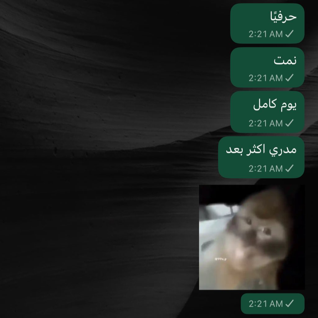 ilnoi9's tweet photo. ياهلا https://t.co/yHPwhLd6C9