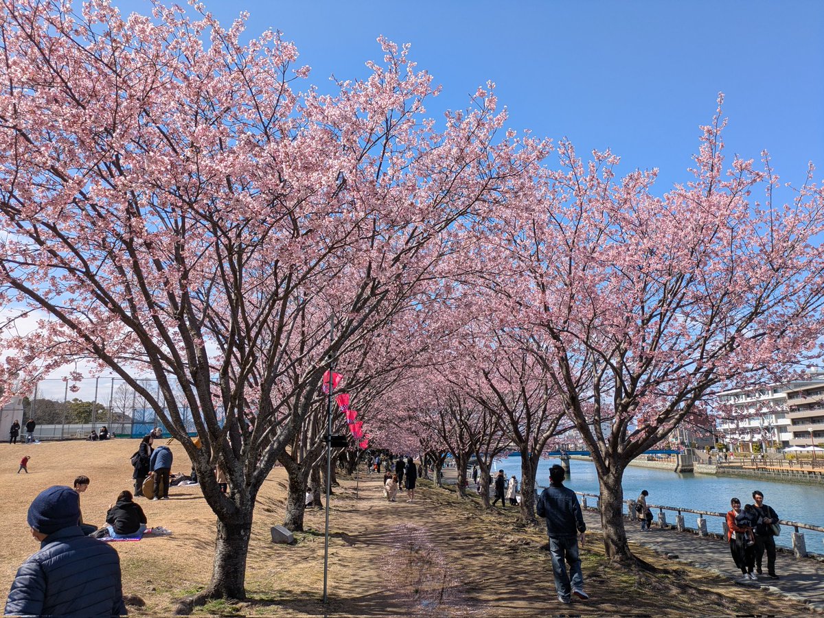 Tadashi Kaneyama tweet media