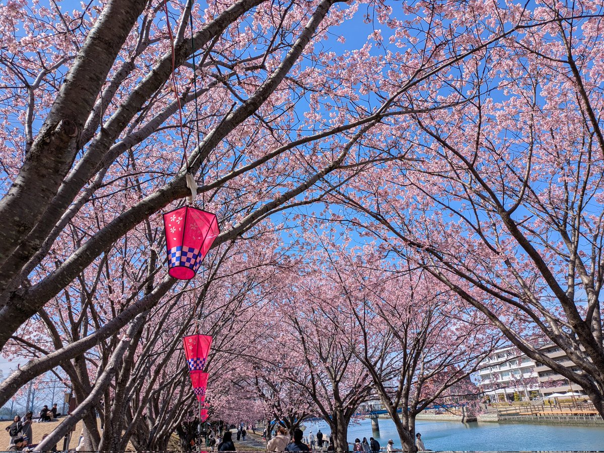 Tadashi Kaneyama tweet media