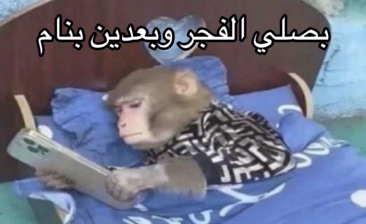sfgi_r's tweet photo. @alrougui أنا في مساحة مالك الروقي : https://t.co/2ULwsuk3cc