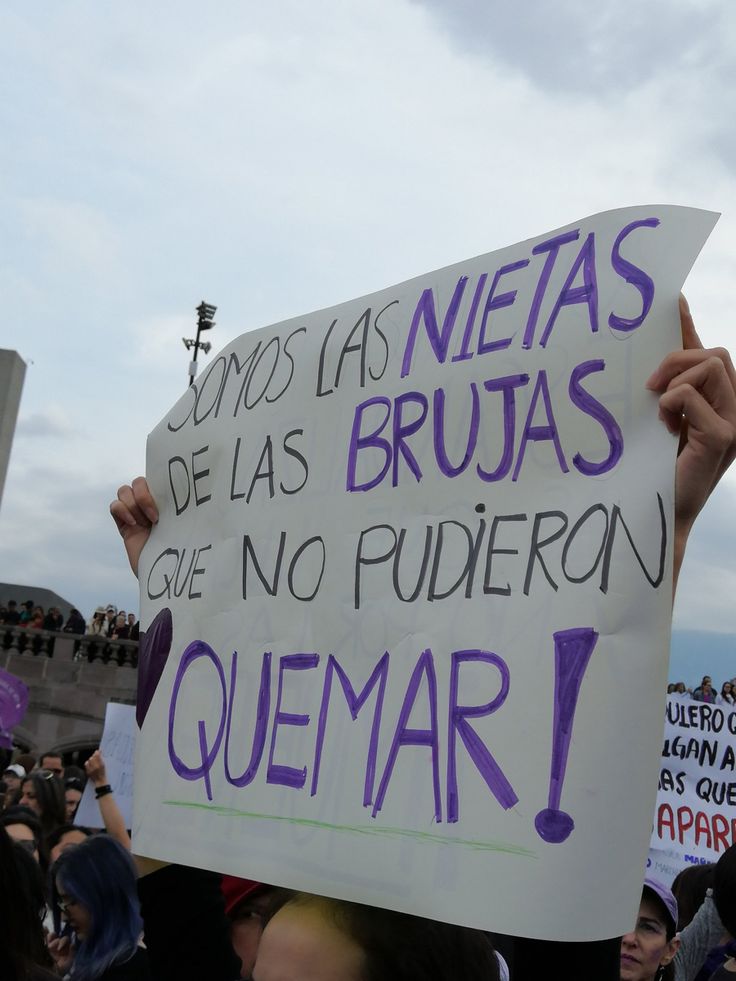 piojavelera tweet media