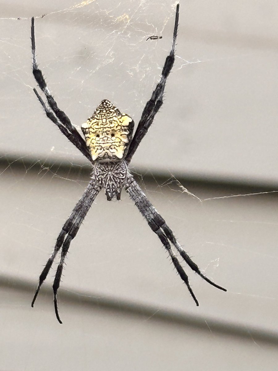 T0️⃣riN🅰️🙋🏼♀️ tweet media