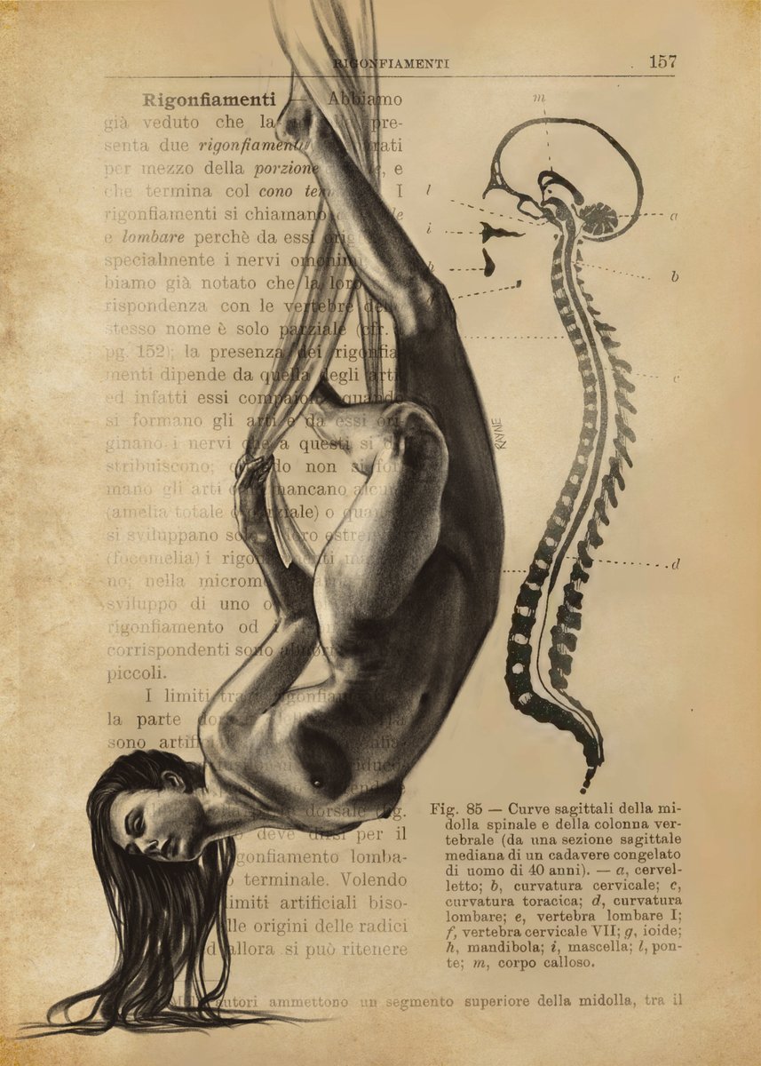 Rayne ⚫ tweet media