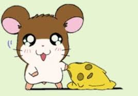 Cute Critter Of The Day tweet media