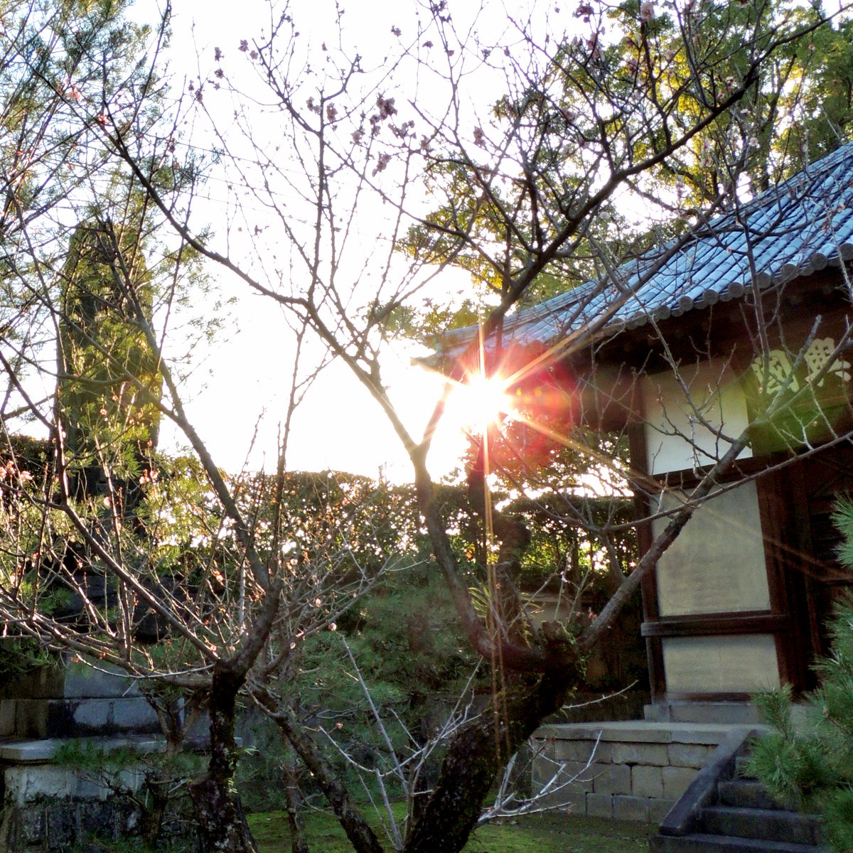 Black_Marines's tweet photo. 古めのコンデジでもそこそこ撮れるなぁ📷️
Camera:Nikon P510
#梅 #梅林寺 #久留米市 #風景写真 #コンパクトデジタルカメラ #Nikon #coolpix #P510
#私とニコンで見た世界
#ファインダー越しの私の世界 https://t.co/2vvD91MXul