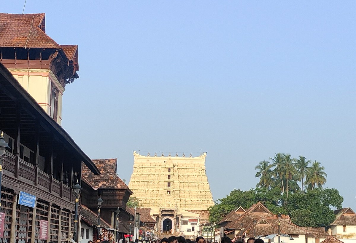 Atiriyā 𓆗𖤓 tweet media