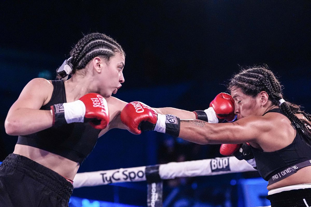 Boxeo de Primera tweet media