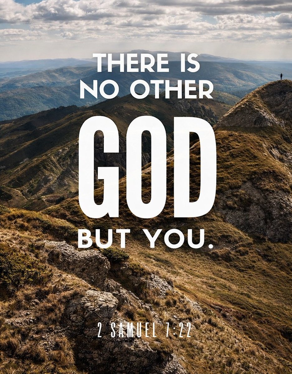 The Bible tweet media