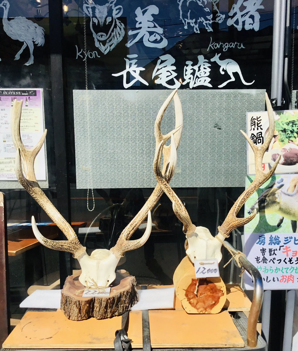 kawori's tweet photo. ご要望を多く頂きました具沢山特製野沢菜おやき出来上がりました✨数に限りがございます♪お早目にお買い求めください(^.^) #信州  #ジビエ #燻製 #京成大久保 #テイクアウト https://t.co/agZtqqHY9S
