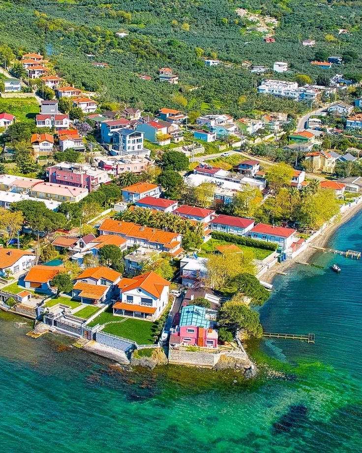 Beauty Explorer tweet media