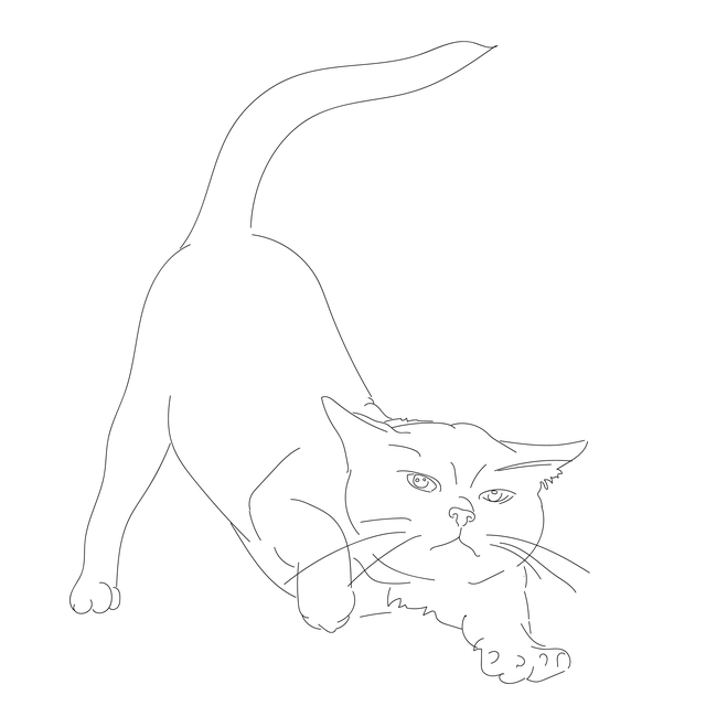 Mary Ryan tweet media