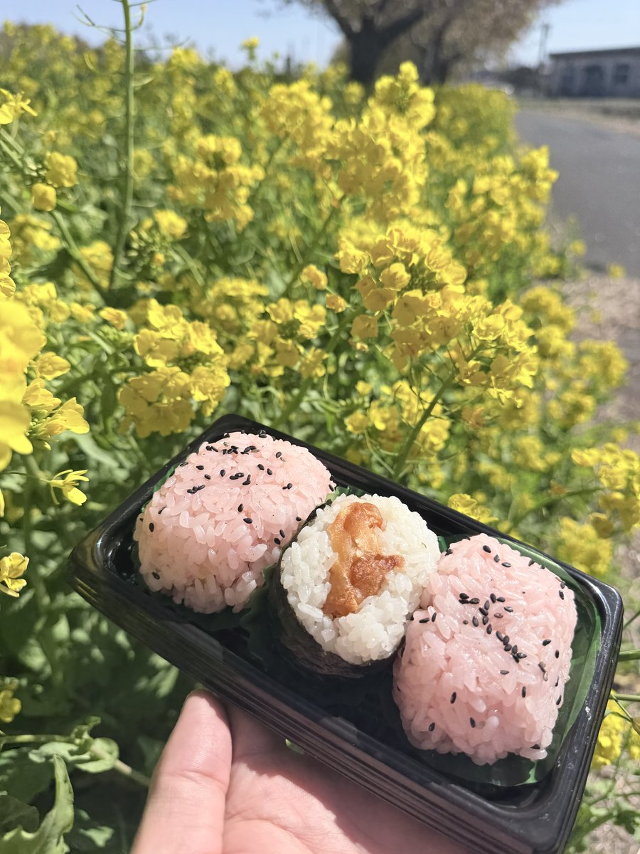 お弁当持ってさ。
春だからさ