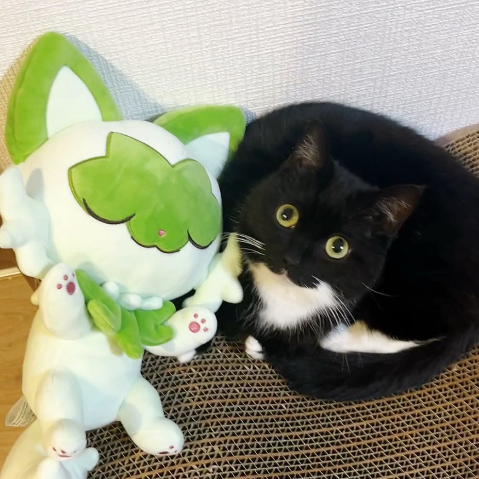 口元お揃いだねω