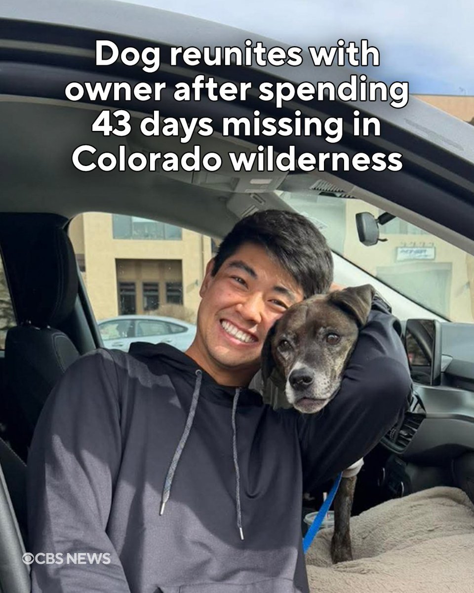 A 10-year-old dog named Rocky was rescued and reunited with his owner ...