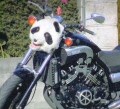 パンダ子のおじさま tweet media